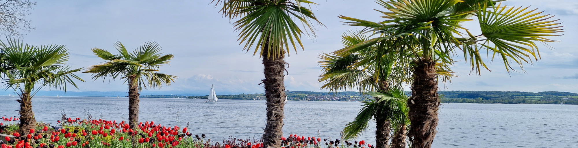 Bodensee1