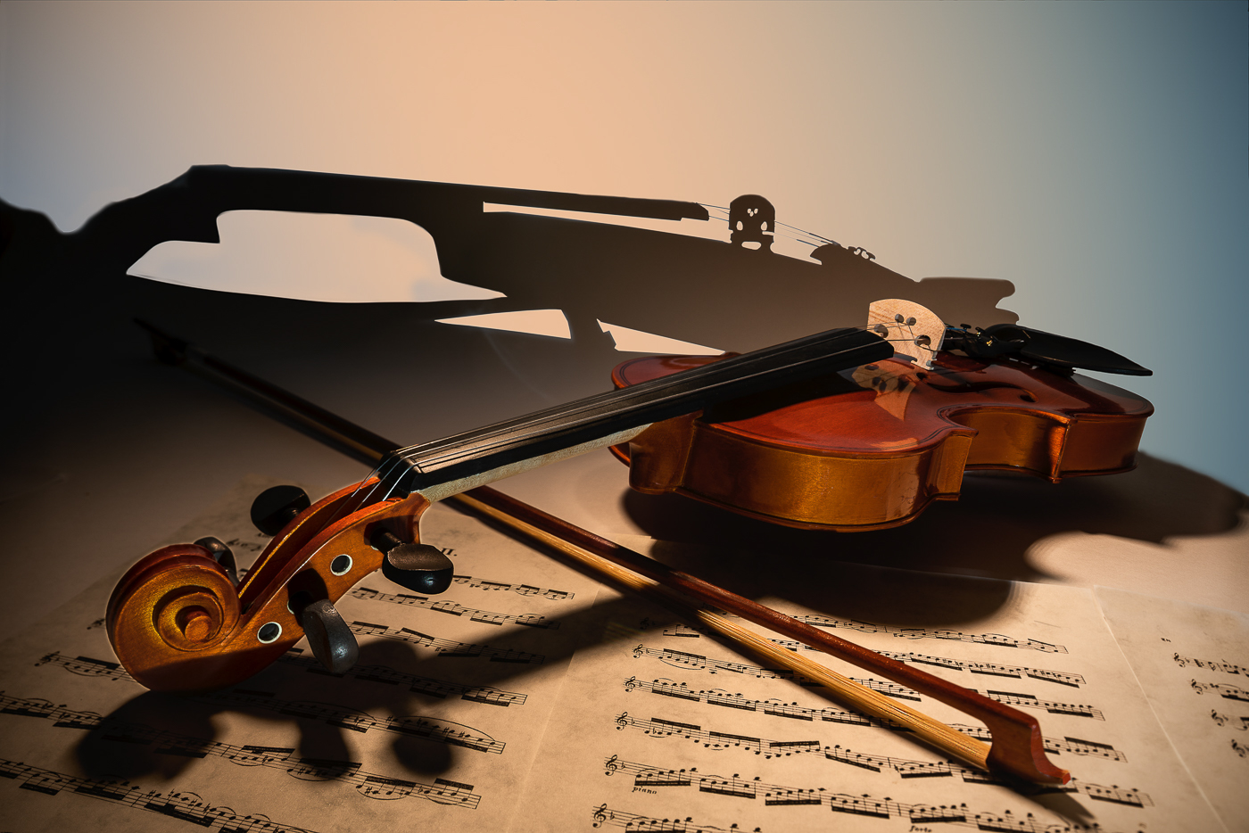 01 Violine mit Bogen PETER Schoettler