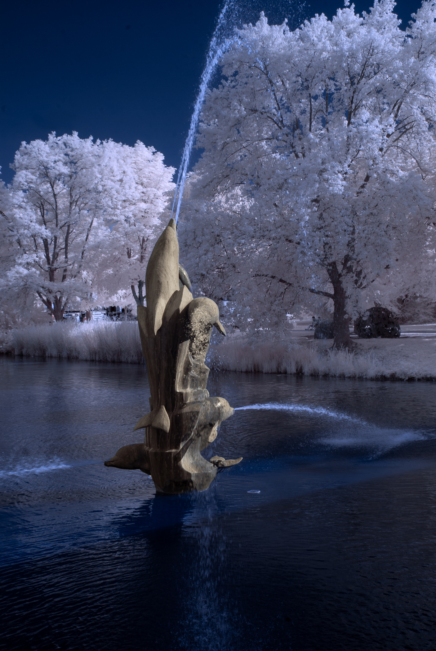 Franz Delfin im Oberen See