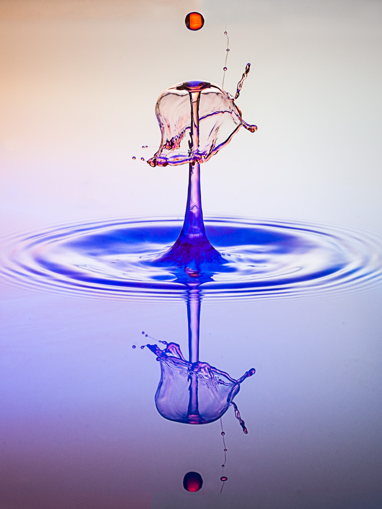 083 1502 Two drops only