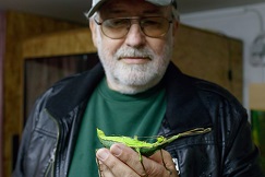 Uli 1