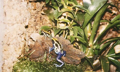 aquaristik3