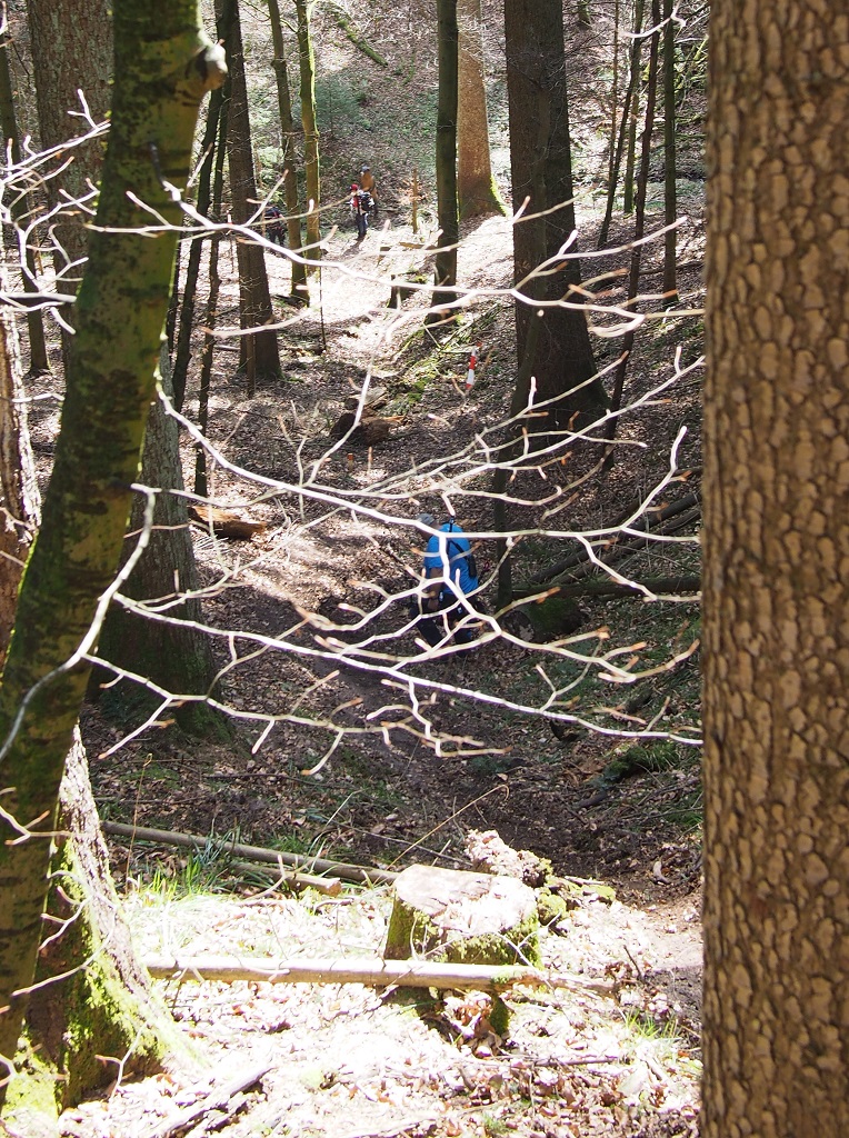 weitschussbaer 2019 fichtenberg