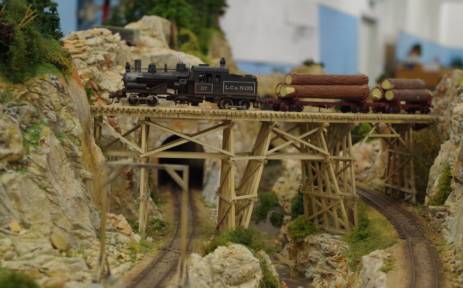h0 usa waldbahnzug2